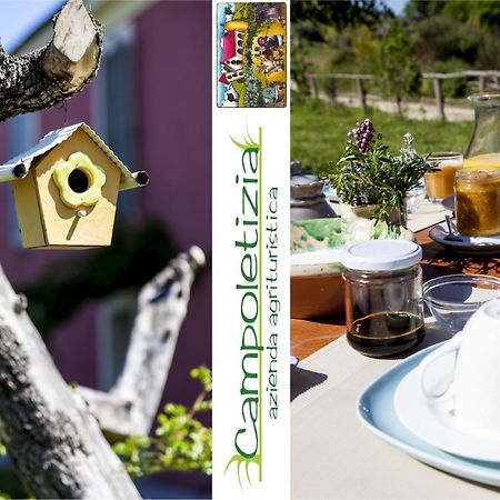 Agriturismo Campoletizia Miglianico Eksteriør billede