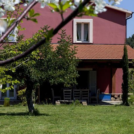 Agriturismo Campoletizia Miglianico Eksteriør billede