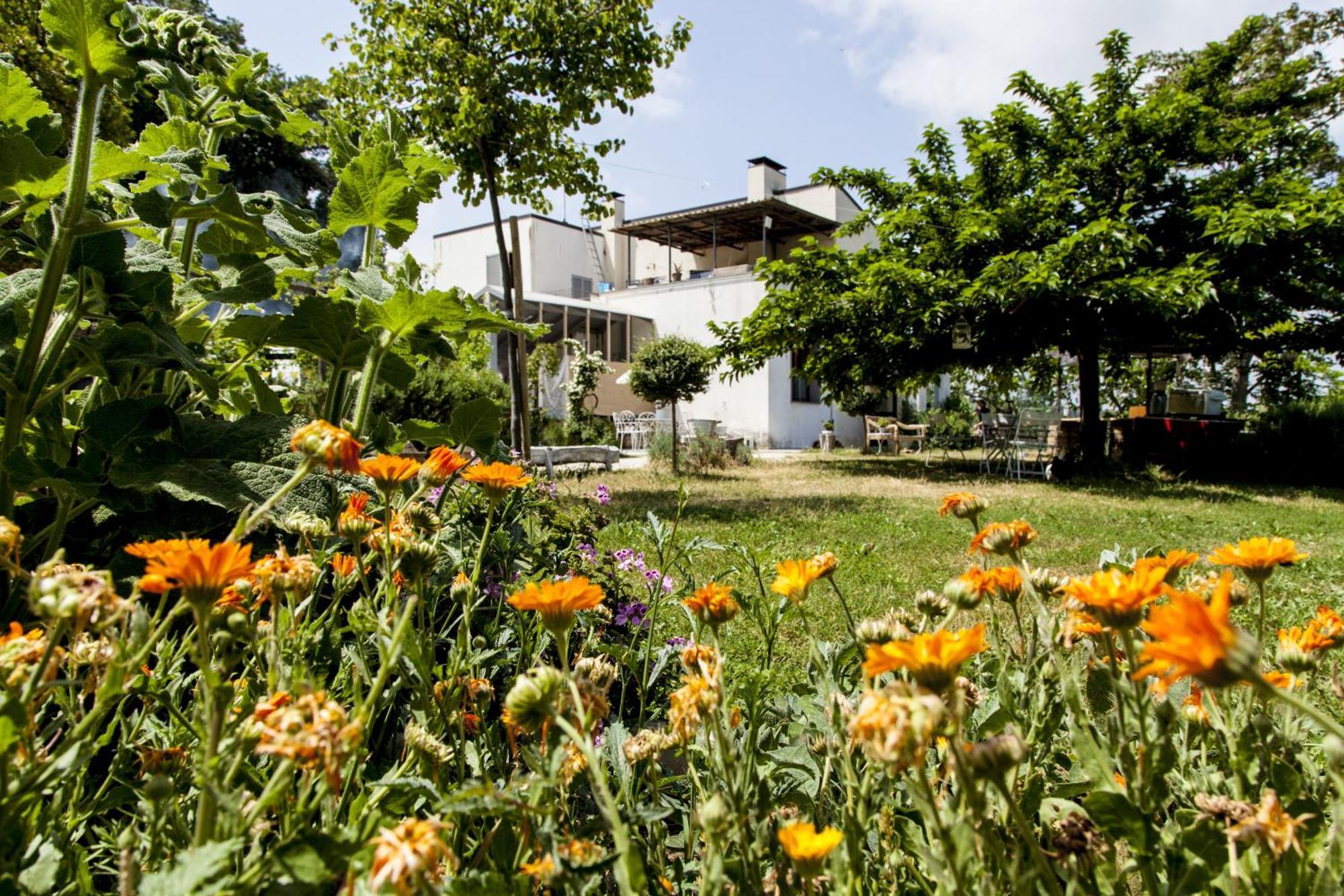 Agriturismo Campoletizia Miglianico Eksteriør billede