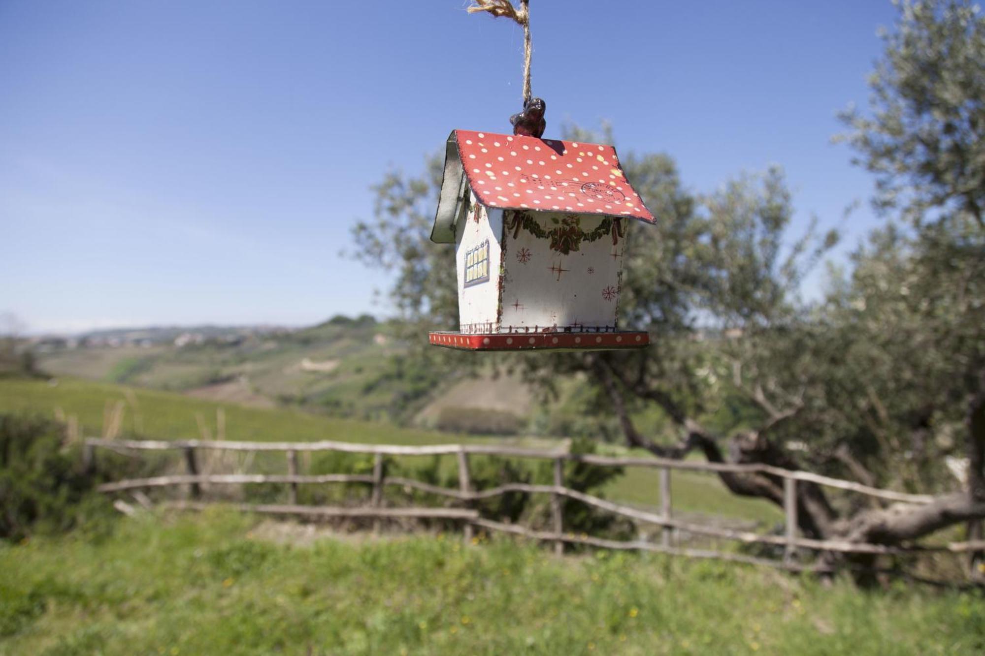 Agriturismo Campoletizia Miglianico Eksteriør billede