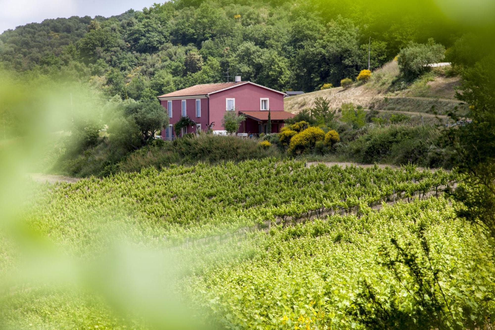 Agriturismo Campoletizia Miglianico Eksteriør billede