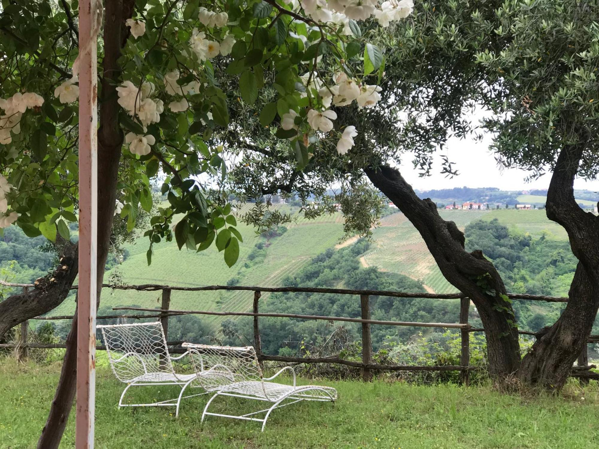 Agriturismo Campoletizia Miglianico Eksteriør billede