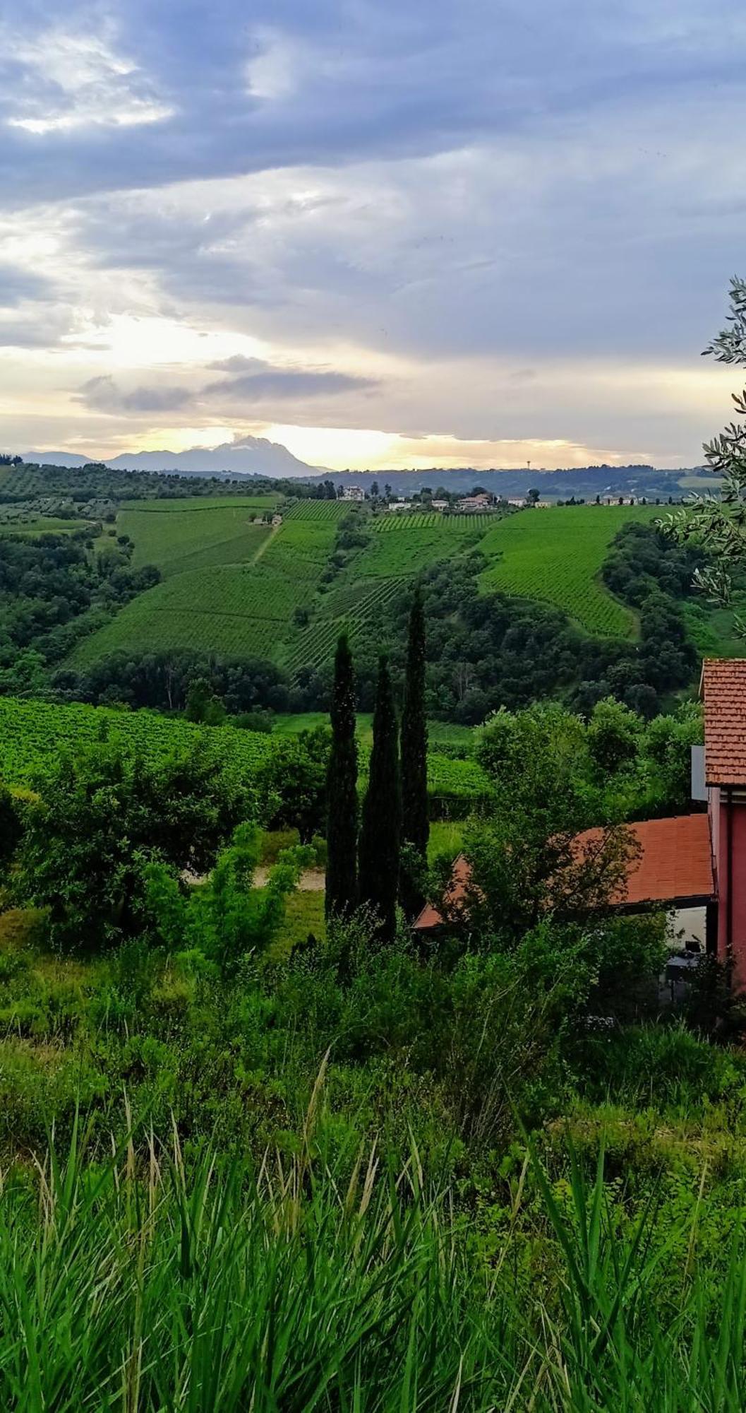 Agriturismo Campoletizia Miglianico Eksteriør billede
