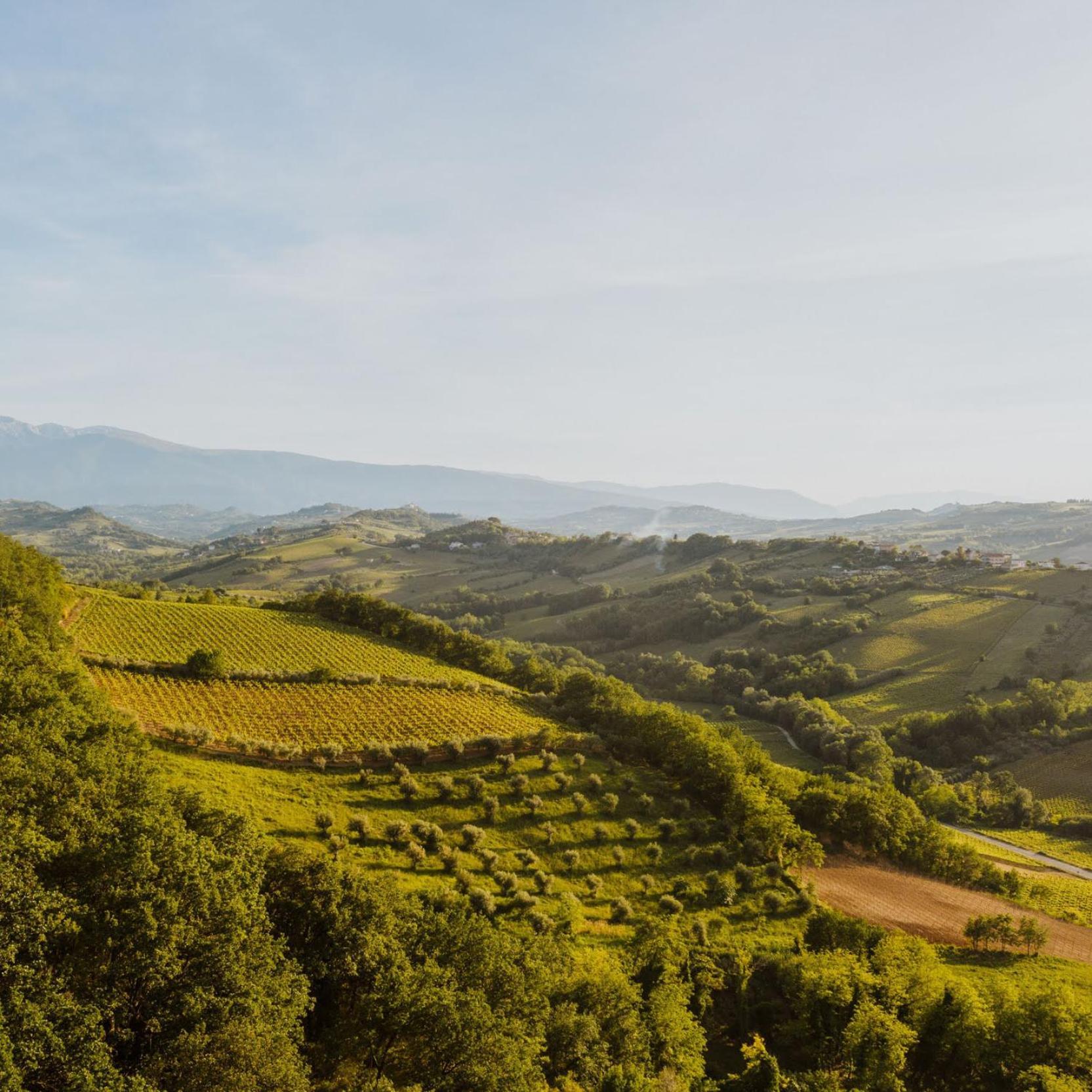 Agriturismo Campoletizia Miglianico Eksteriør billede
