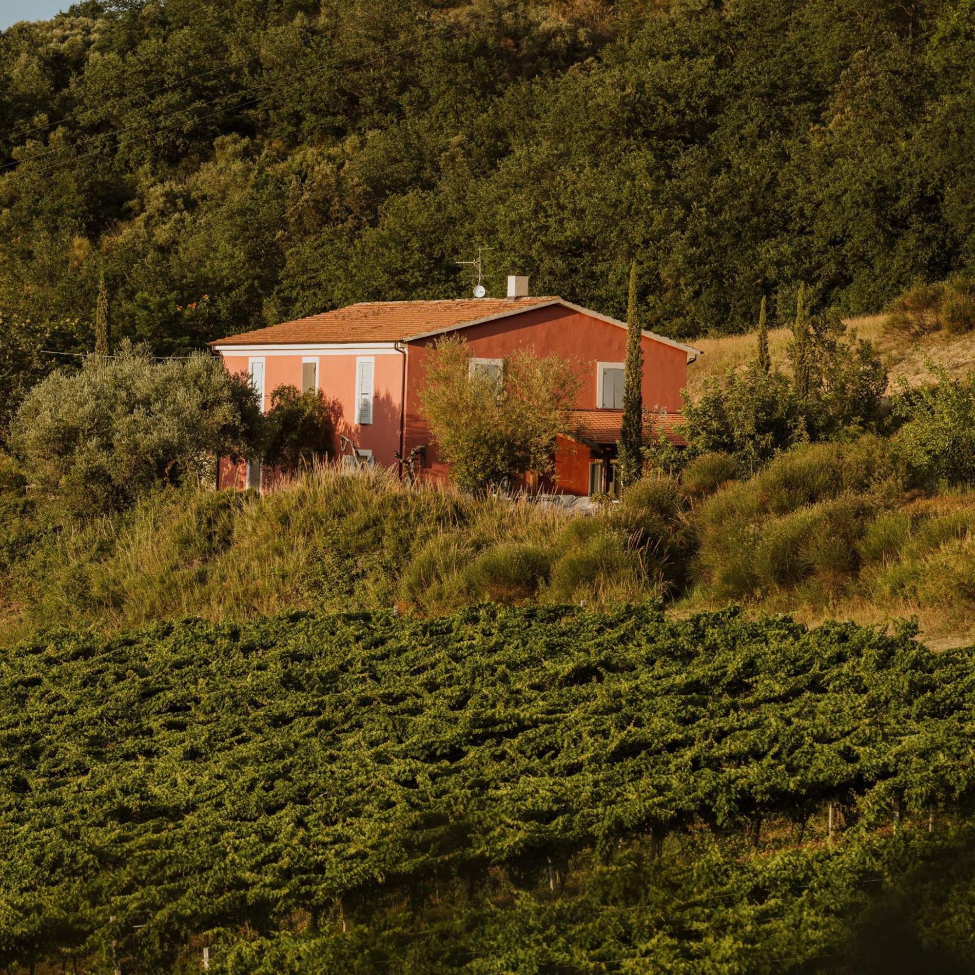 Agriturismo Campoletizia Miglianico Eksteriør billede