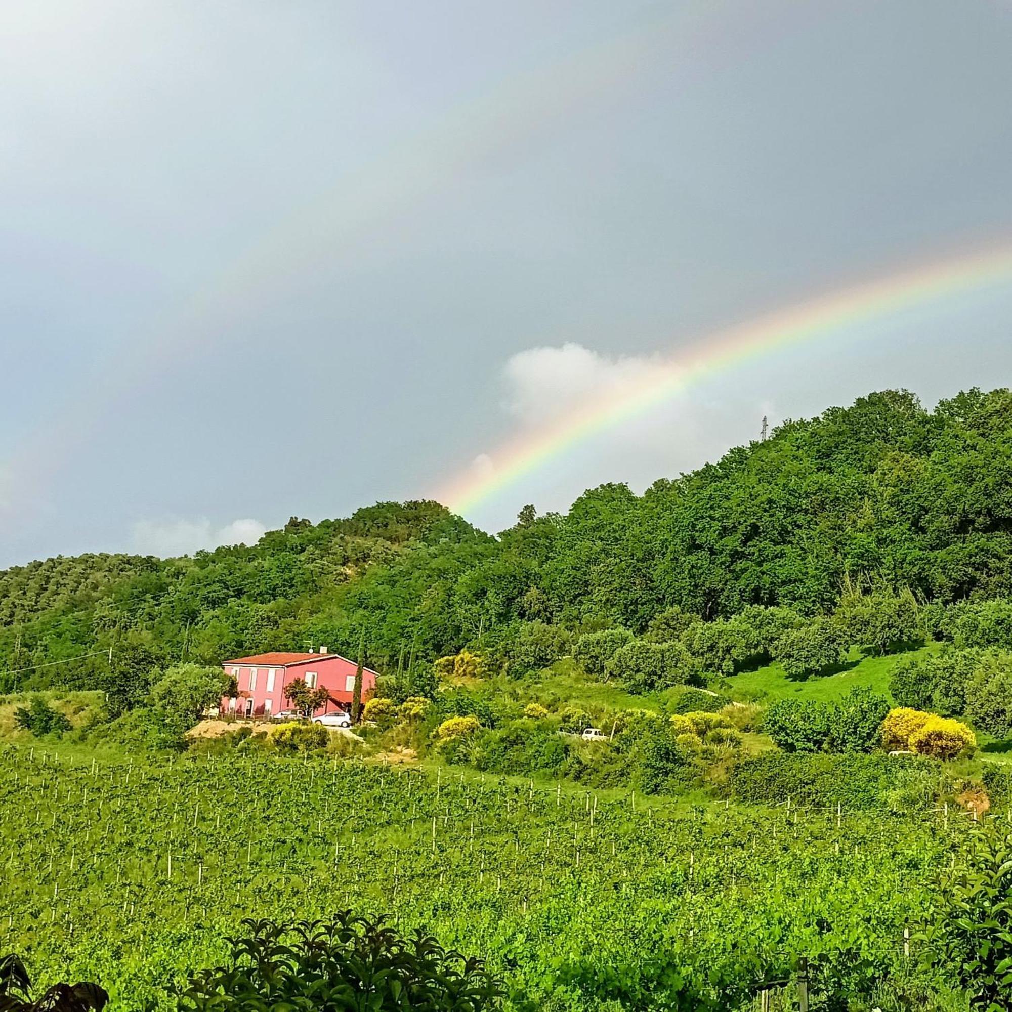 Agriturismo Campoletizia Miglianico Eksteriør billede